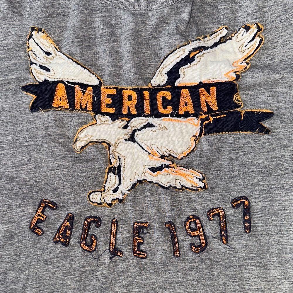 American Eagle Outfitters Men’s Heather Gray Graphic Appliqué Tee - Picture 3 of 4